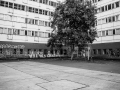 Haus der Statistk
