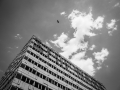 Haus der Statistik