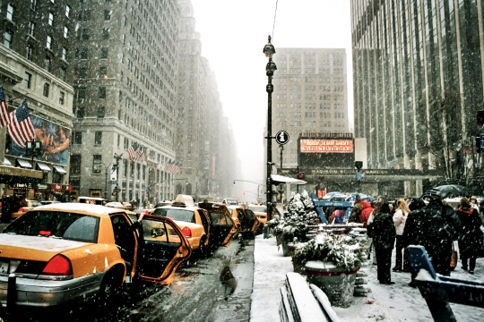 Madison Square Garden