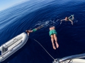 Open Water