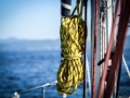 On board
