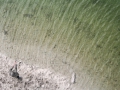 BAVARIA, Einsamer Angler